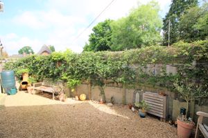 Courtyard garden- click for photo gallery